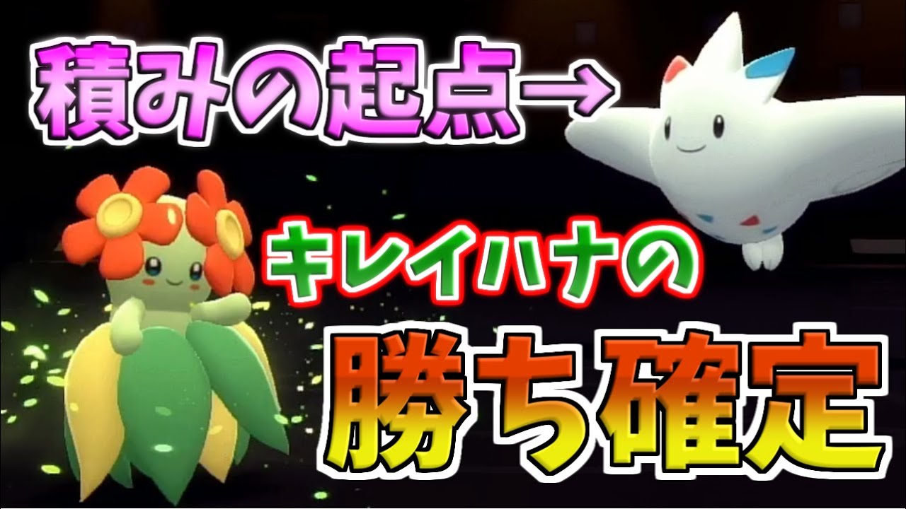 【ダイパリメイク】キレイハナで全抜き！？タイプ相性を超越するとか最強すぎるだろ・・・・【ポケモンBDSP】