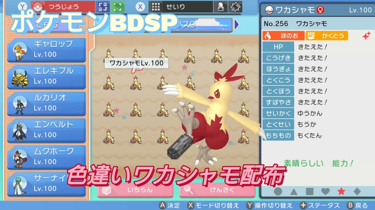 【ポケモンBDSP】色違いワカシャモ配布