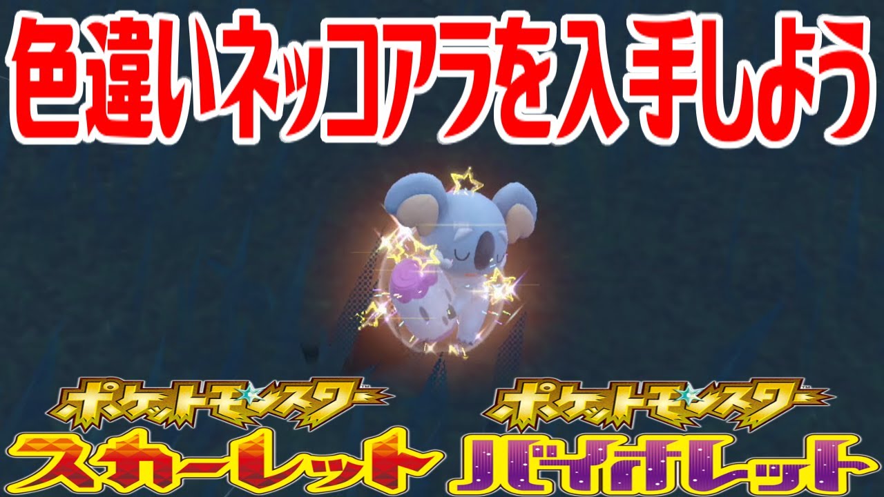 【ポケモンSV】色違いネッコアラを入手しよう【ポケットモンスター スカーレット・バイオレット】Pocket Monsters