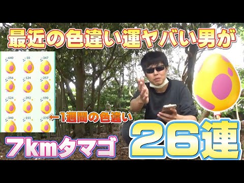 【ポケモンGO】７ＫＭタマゴ26連！割ってない人損してるぅ〜w色違いトゲピーやペロッパフの100%、大量のアメXL狙い！！！【フェアリーレジェンドY】