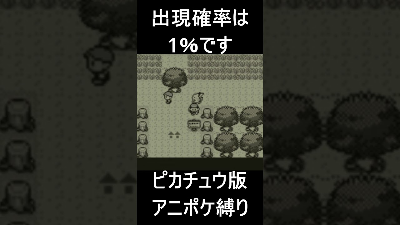 ピジョン出現確率は1％です