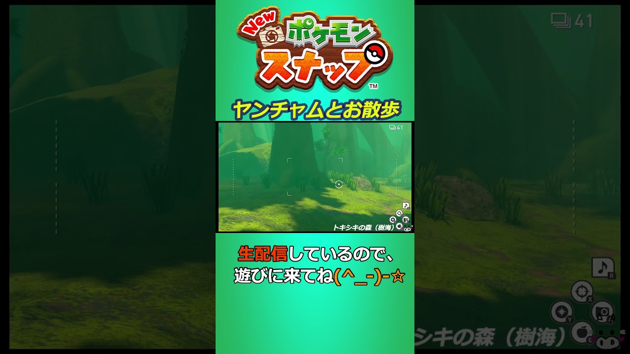 ヤンチャムがずっとついてくる⤴【Newポケモンスナップ】#Shorts