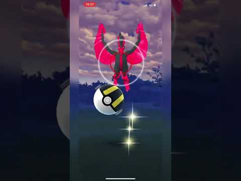 【ポケモンGO】ガラルファイヤーきちゃあぁぁぁああ【ガラル三鳥】 #shorts