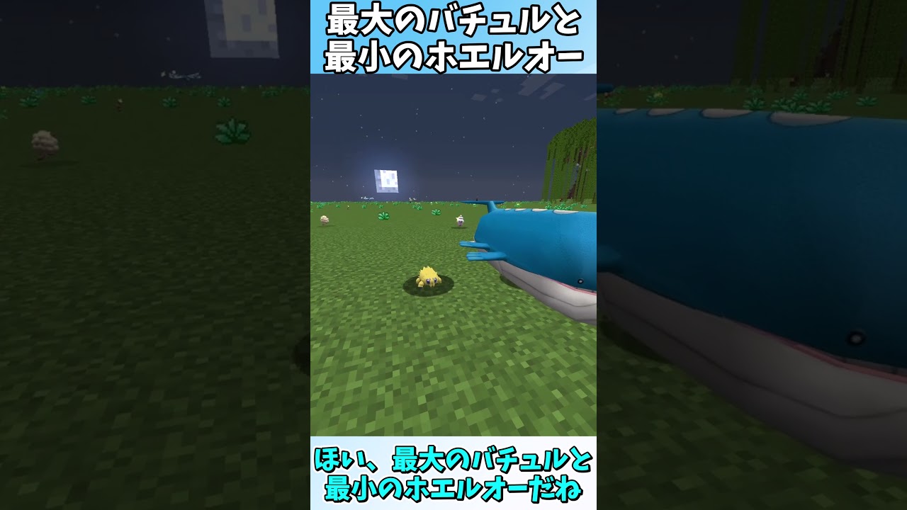 最大のバチュルと最小のホエルオー #Shorts