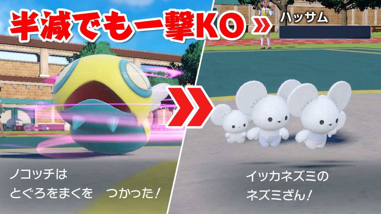 輝石ノコッチ「とぐろをまく」バトン→イッカネズミがバグ火力すぎる！【ポケモンSV】