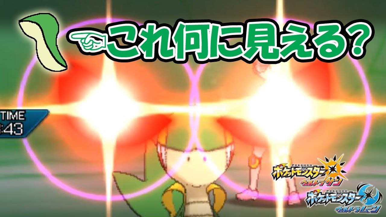 【ポケモン】はじめまして。嫁ポケはツタージャでしゅ。 【ウルトラサン・ムーン/USUM】