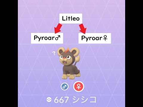 【Pokémon GO】Evolution ＃667 シシコ ★Not shiny★ #Shorts