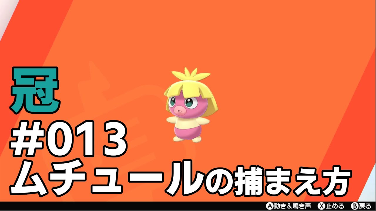 ムチュールを探している方に見てほしい動画