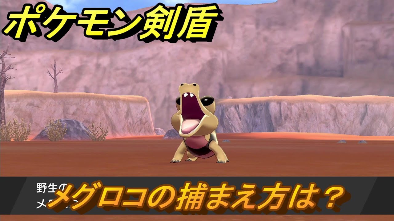 ポケモン剣盾　メグロコを捕まえる方法！オススメの場所は？天気は？ポケモン図鑑コンプへの道！　最新版【ポケモンソード・シールド】