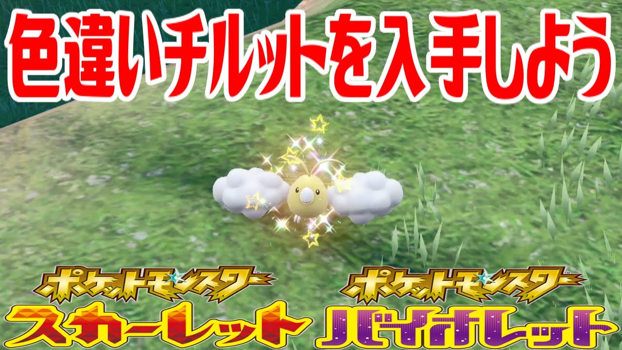 【ポケモンSV】色違いチルットを入手しよう【ポケットモンスター スカーレット・バイオレット】Pocket Monsters