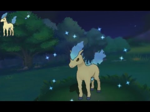 3DS【ポケモン ORAS】 shiny Ponyta 色違い ポニータ 色違 小火馬