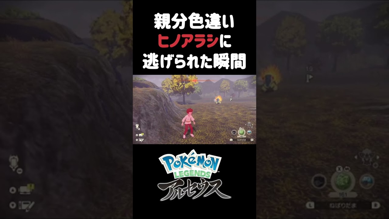 【ポケモン】親分色違いヒノアラシに逃げられた瞬間【Pokémon LEGENDS アルセウス】#shorts