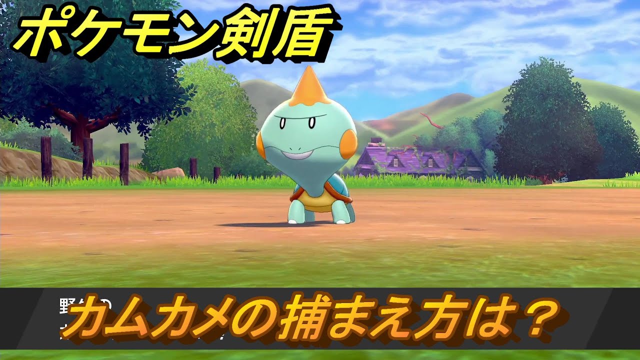 ポケモン剣盾　カムカメを捕まえる方法！オススメの場所は？天気は？ポケモン図鑑コンプへの道！　最新版【ポケモンソード・シールド】