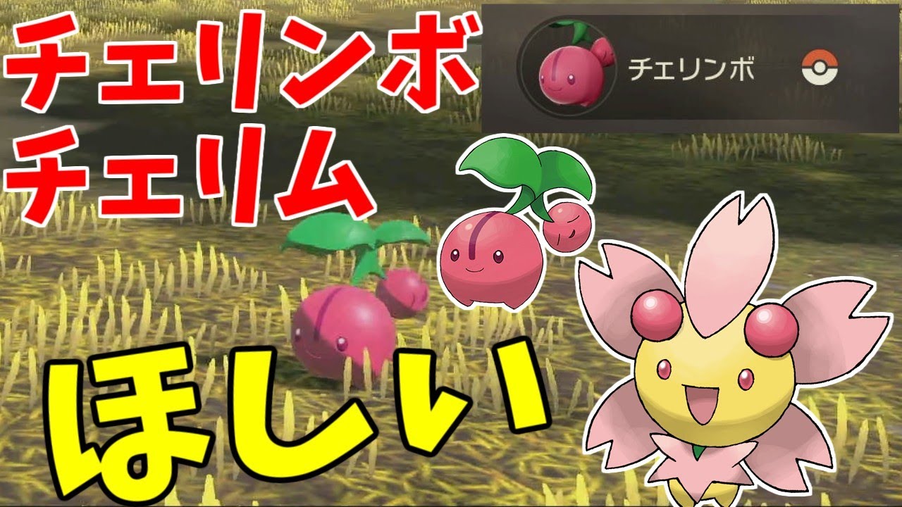 【アルセウス レジェンズ】チェリンボ・チェリムが欲しい！【捕まえ方・攻略】