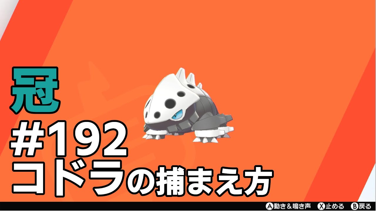 コドラを探している方に見てほしい動画