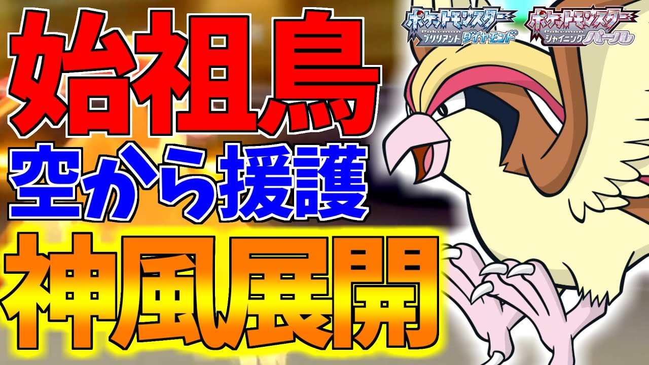 【ポケモンBDSP】飛行ポケモンの始祖ピジョットがバグレベルに"風"を操る!?こいつの風技は神風です【ダイパリメイク対戦】