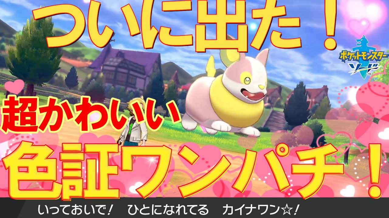 【ご報告】ついに！念願のかわいすぎる 色証ワンパチがきました！！！ 【ポケモン剣盾】【厳選】【イヌヌワン】