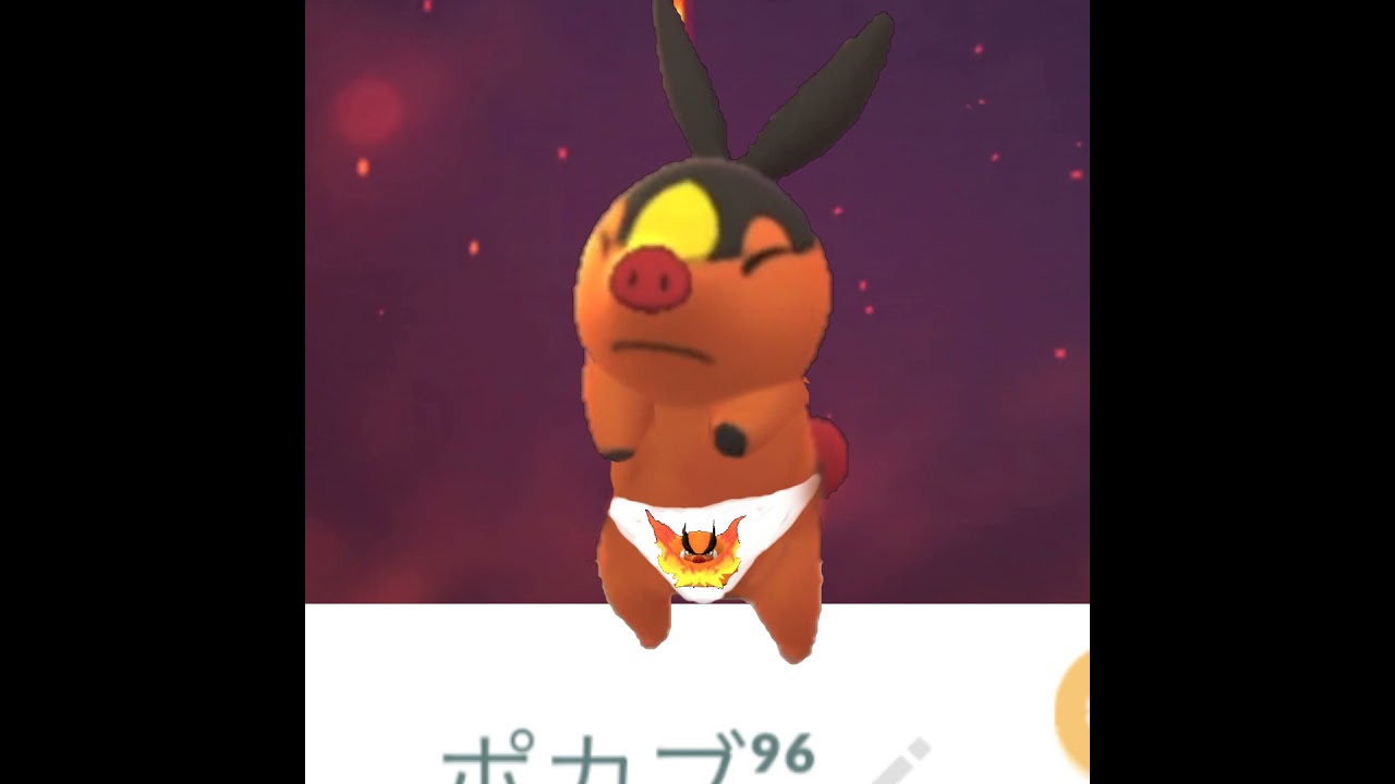 いろいろ準備を始めるポカブ【2021.7.2UP】