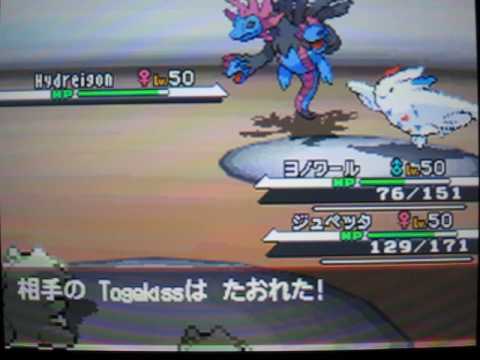 エネコロロ〔ノーマルスキン〕ロック