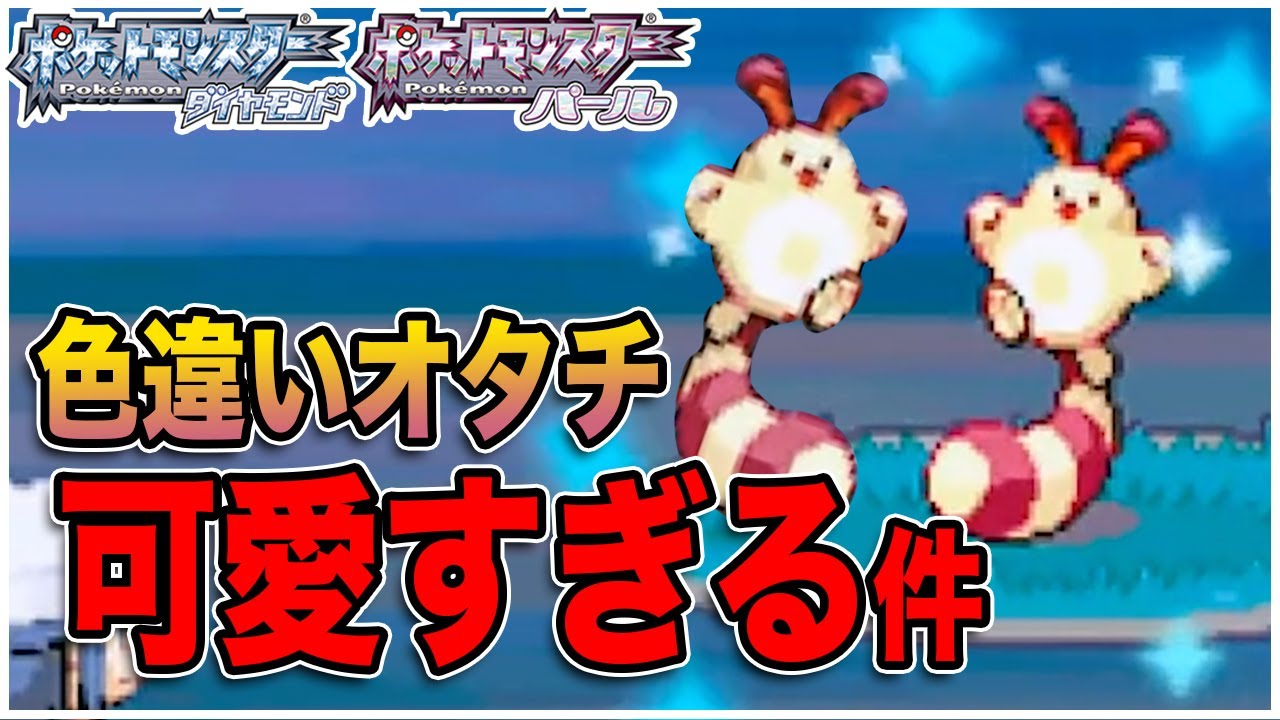 【ポケトレ色違い】オタチの色違いが愛くるしすぎる件-ポケモンパール-（色違いオタチ/pokerader/Shiny Sentret)