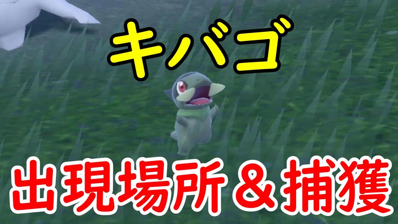【ポケモンSV】キバゴの出現場所＆捕獲チャレンジ‼
