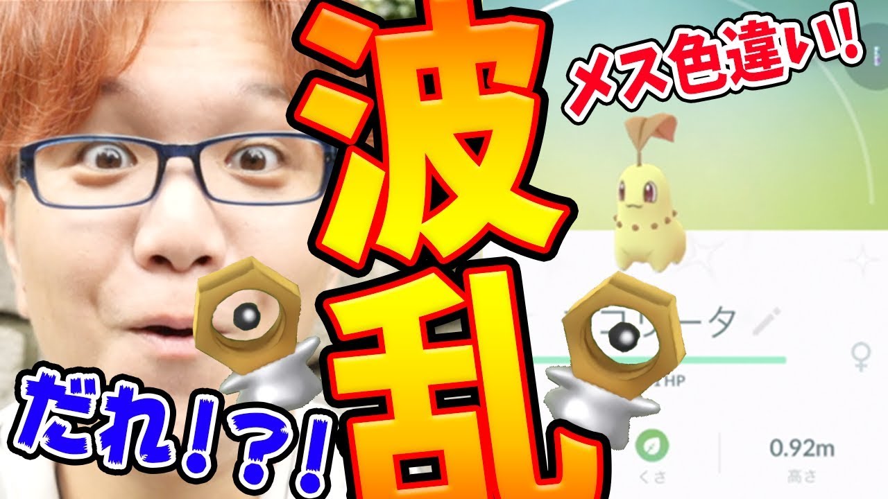 チコリータコミュニティデイ!メスの色違いベイリーフが超難関だった…【ポケモンGO】