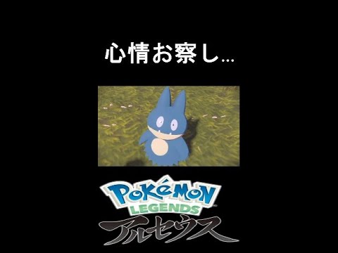 【ポケモンアルセウス】ヨネさんのゴンベ愛が試された結果。#Shorts
