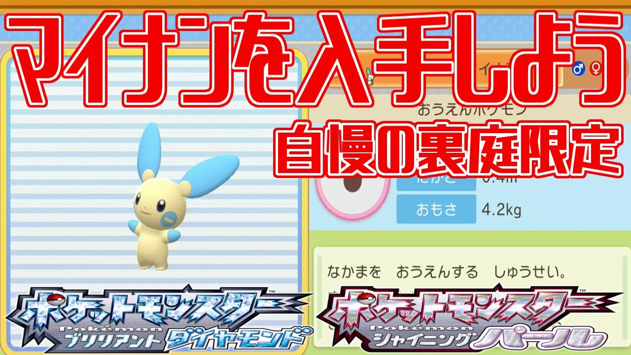 【ポケモンダイパリメイク】マイナンを入手しよう 自慢の裏庭限定(じまんのうらにわ) 【ポケットモンスター ブリリアントダイヤモンド・シャイニングパール】Pocket Monsters