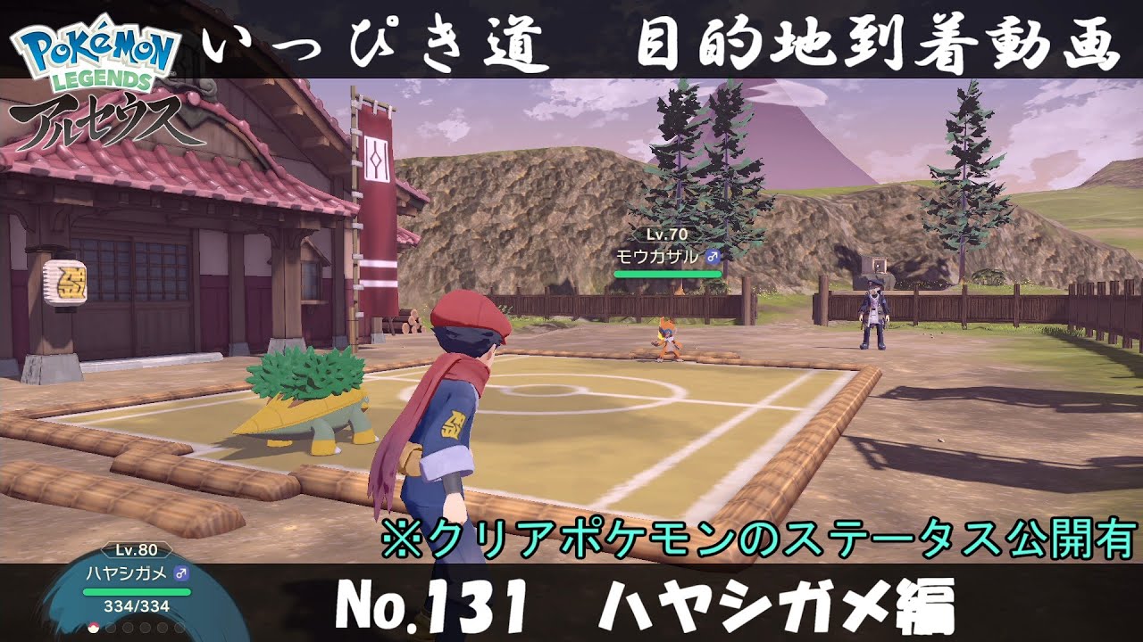 【いっぴき道攻略】No.131 ハヤシガメ編【Pokémon LEGENDS アルセウス】
