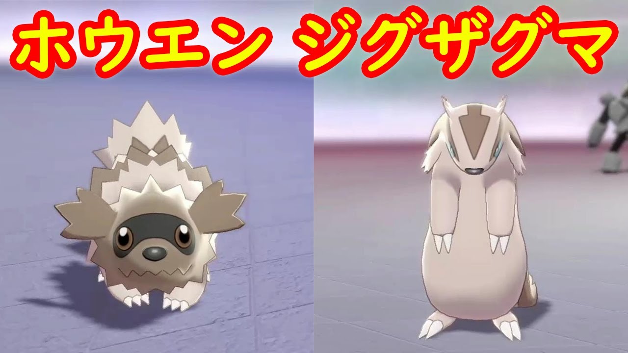 【ホウエン ジグザグマ → マッスグマ】入手 攻略 + キャンプで遊ぶ【ポケモン剣盾 ポケモンHOME ポケモン ソード シールド 】