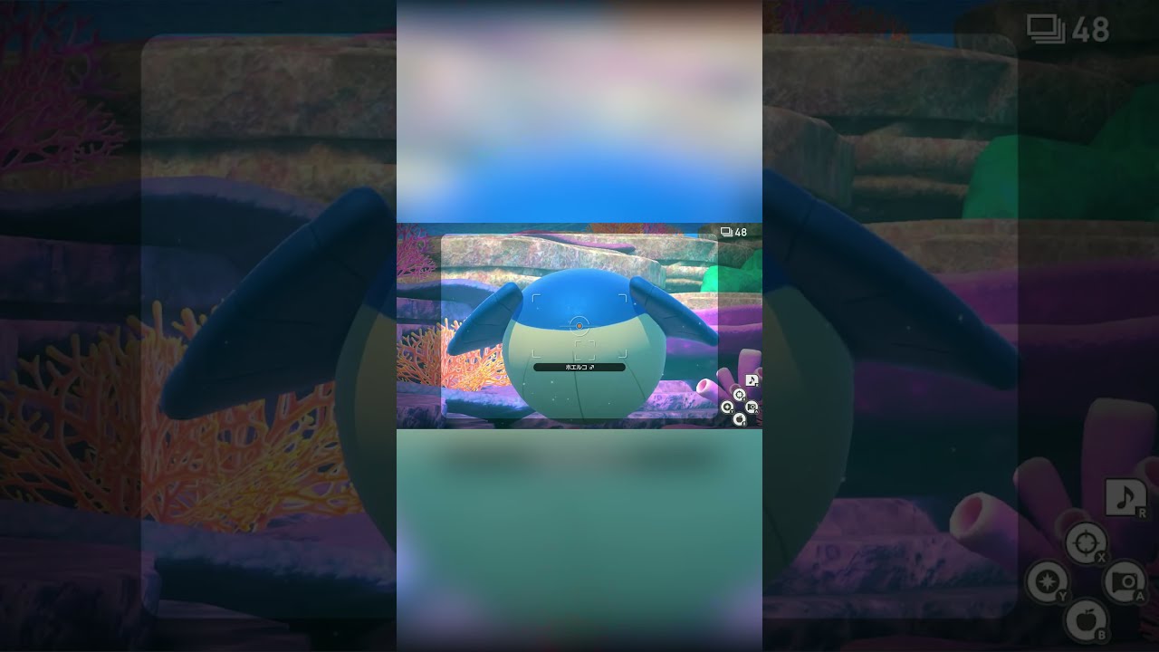 【Newポケモンスナップ NEW POKÉMON SNAP】ホエルコにいたずらされるオクタン #shorts