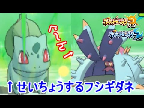 せいちょう「フシギダネ」によるサイクル破壊戦法-リトバス対戦集-【ポケモン サン ムーン】