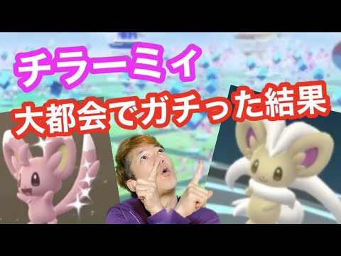 チラーミィでガチった！タスクとタマゴの色違い率に衝撃っす！【ポケモンGO】