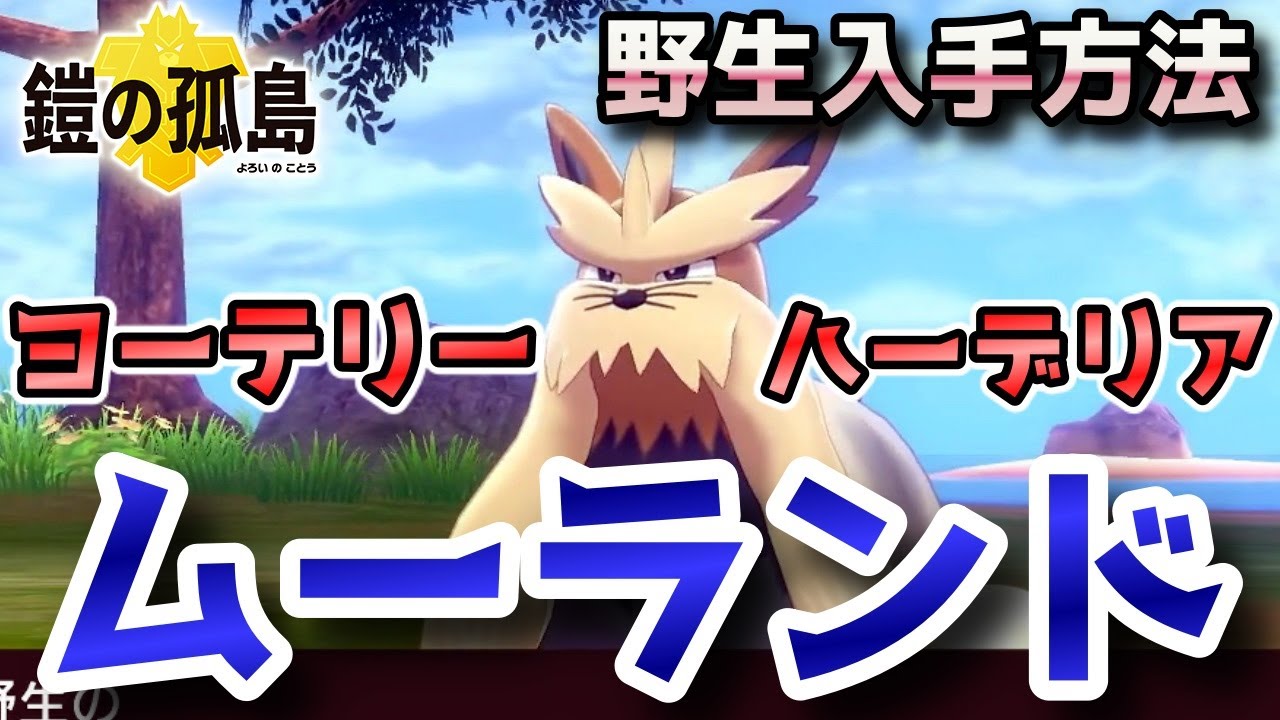 【鎧の孤島】『ヨーテリー・ハーデリア・ムーランド』野生での出現場所・入手方法！進化条件も実況解説【ポケモン剣盾】ニャン速ちゃんねる
