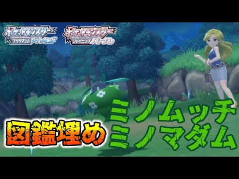 【図鑑埋め】ミノムッチとミノマダム持ちトレーナーの紹介【ポケモンBDSP/ダイパリメイク】