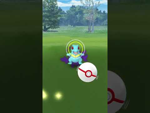 ポケモンGO 曲者のシャドーワニノコ　#ポケモンGO