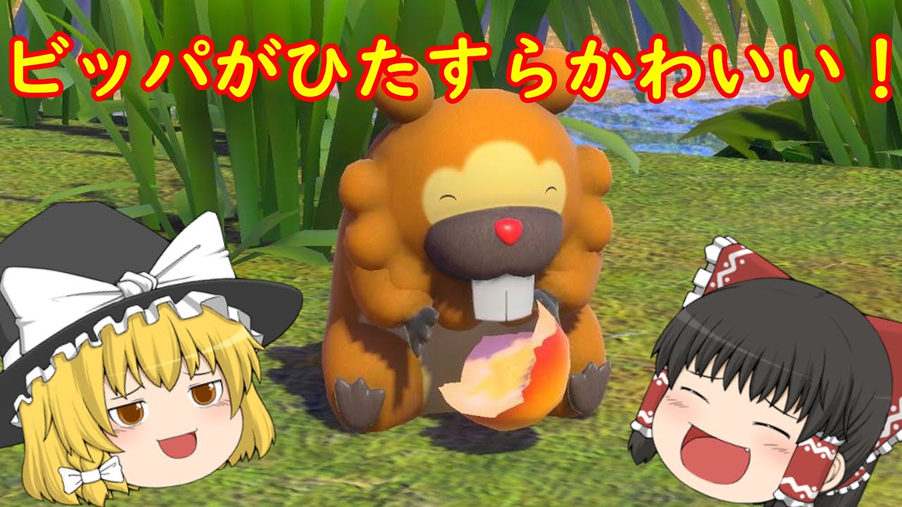 【New ポケモンスナップ】ビッパが可愛くて語彙力崩壊 #1【ゆっくり実況】