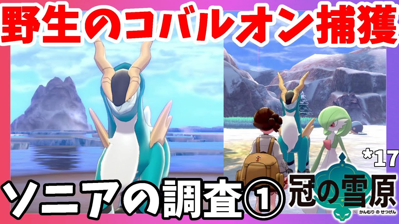 【ポケモンソードシールド】コバルオン捕獲はシンクロが使える！伝説ポケモンの足跡が見られる感動！冠の雪原【エキスパンションパス】