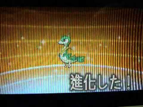 ツタージャ進化