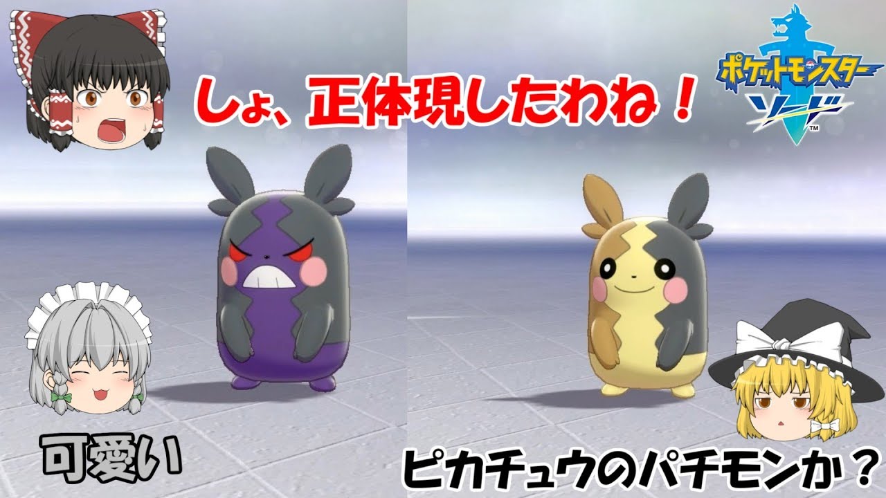 【ポケットモンスターソード】ガラル1可愛いモルペコの闇の顔とは！【ゆっくり実況】ポケモン1ミリも知らない巫女の初期ポケモン1体縛り旅8話