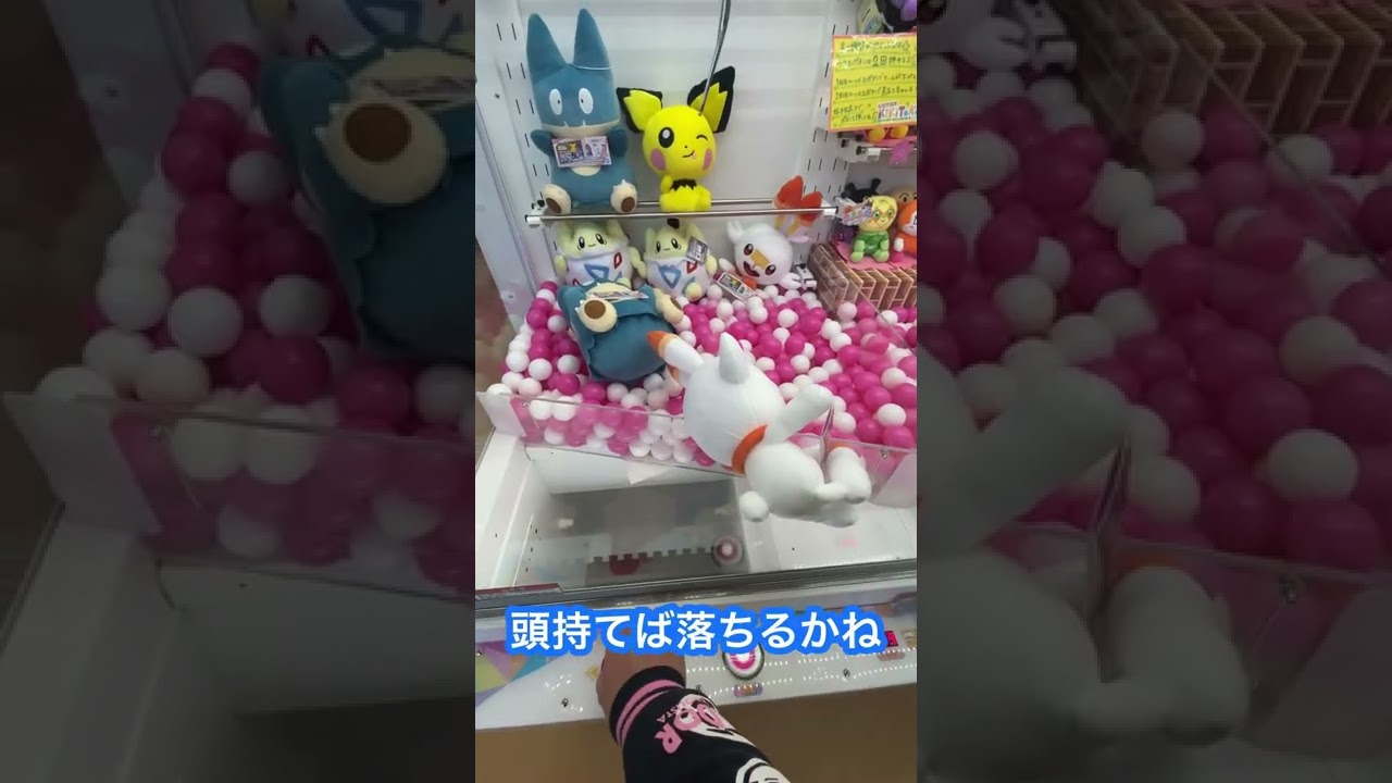 ヒバニーが奇跡を起こした【クレーンゲーム】