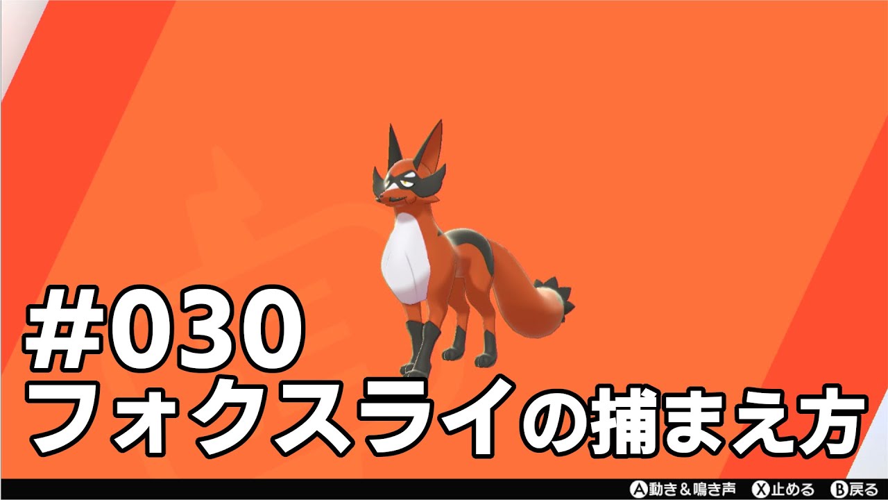 フォクスライを探している方に見てほしい動画