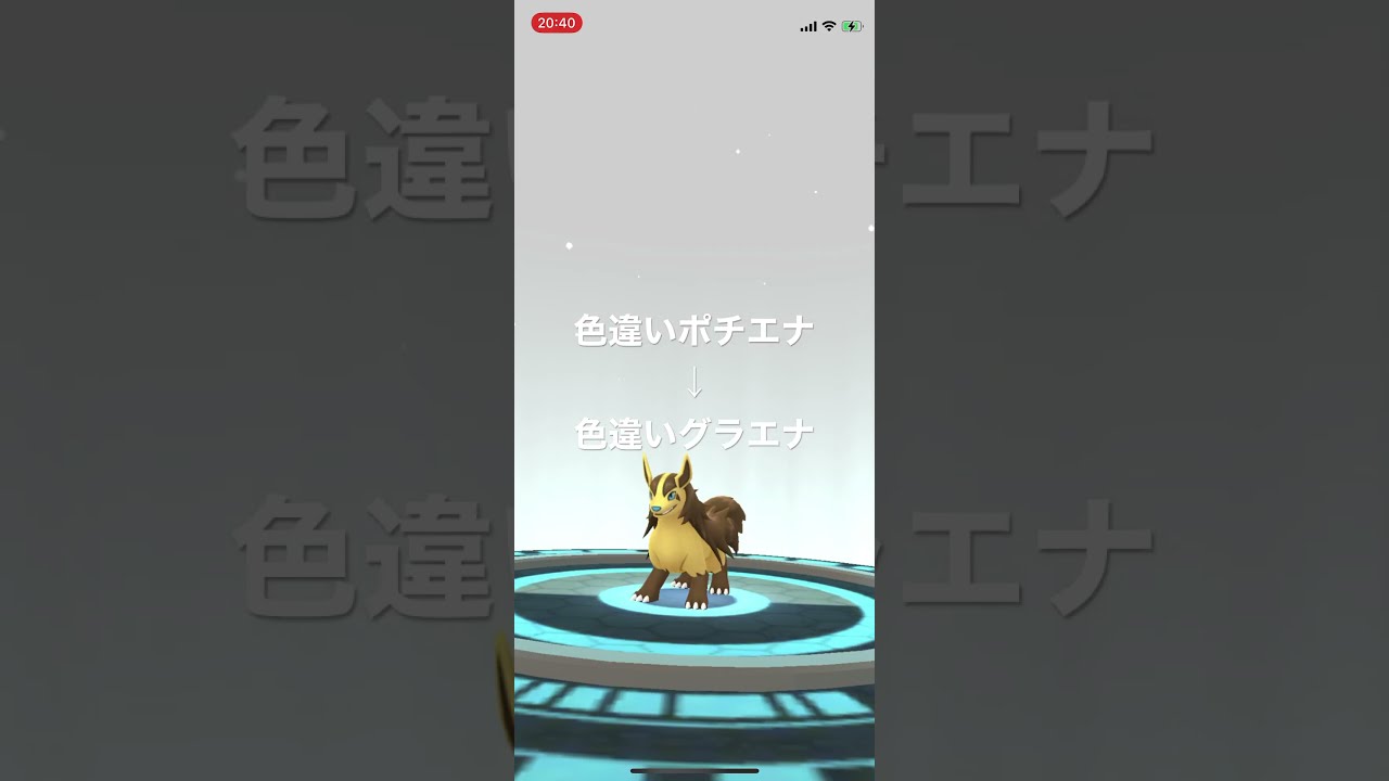 ポケモンGO 色違いポチエナ出現！色違いグラエナへ進化！ #pokémon #ポケットモンスター #short