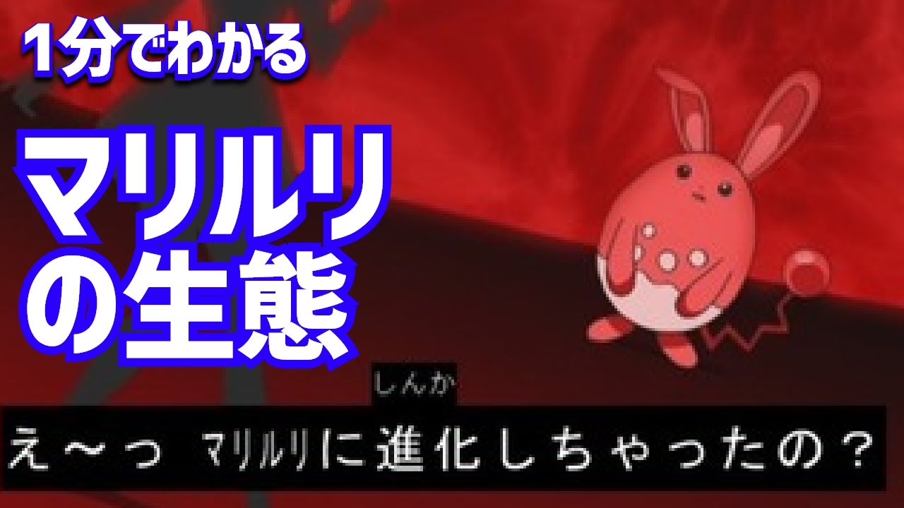 1分でわかるマリルリの生態｜ポケモン剣盾、ポケモンgo #Shorts