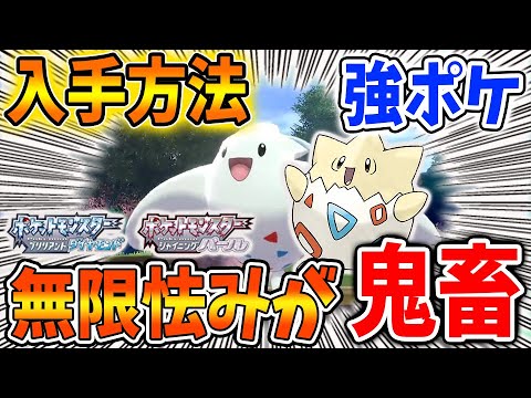 【ポケモン ダイパリメイク】無限怯みの極悪コンボ「ドゲキッス」進化前トゲピーの入手方法！ひかりのいしもいるので注意【攻略/ブリリアントダイヤモンド・シャイニングパール／BDSP/厳選/メタモン】