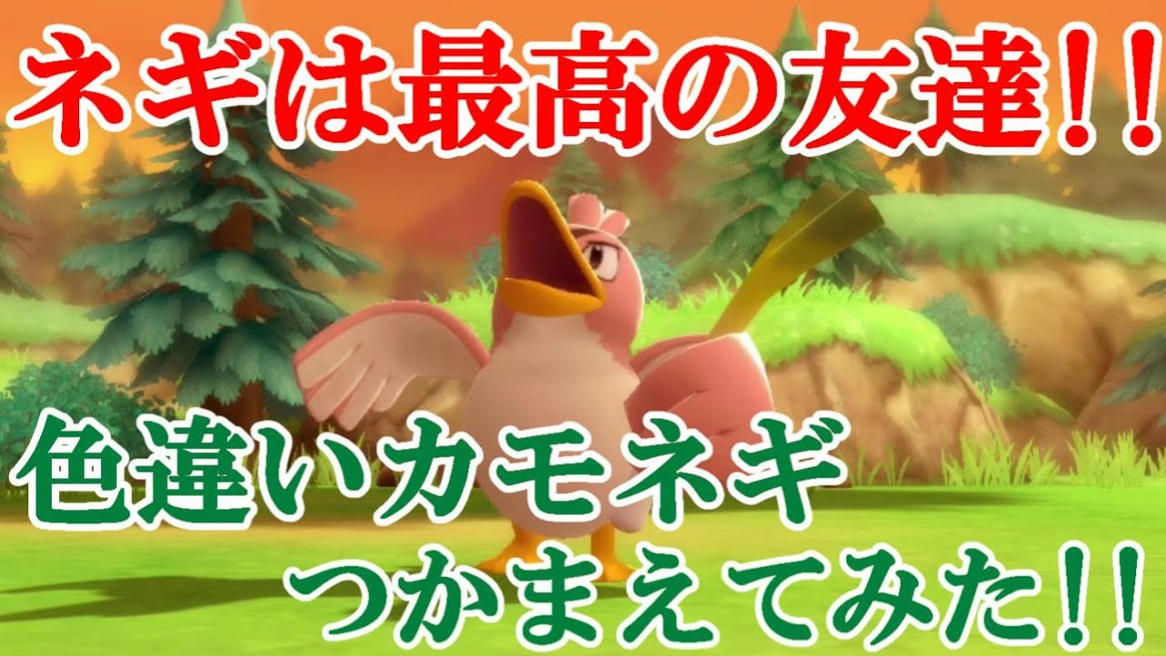 【ダイパリメイク】ネギは最高の友達！！色違いカモネギつかまえてみた！！