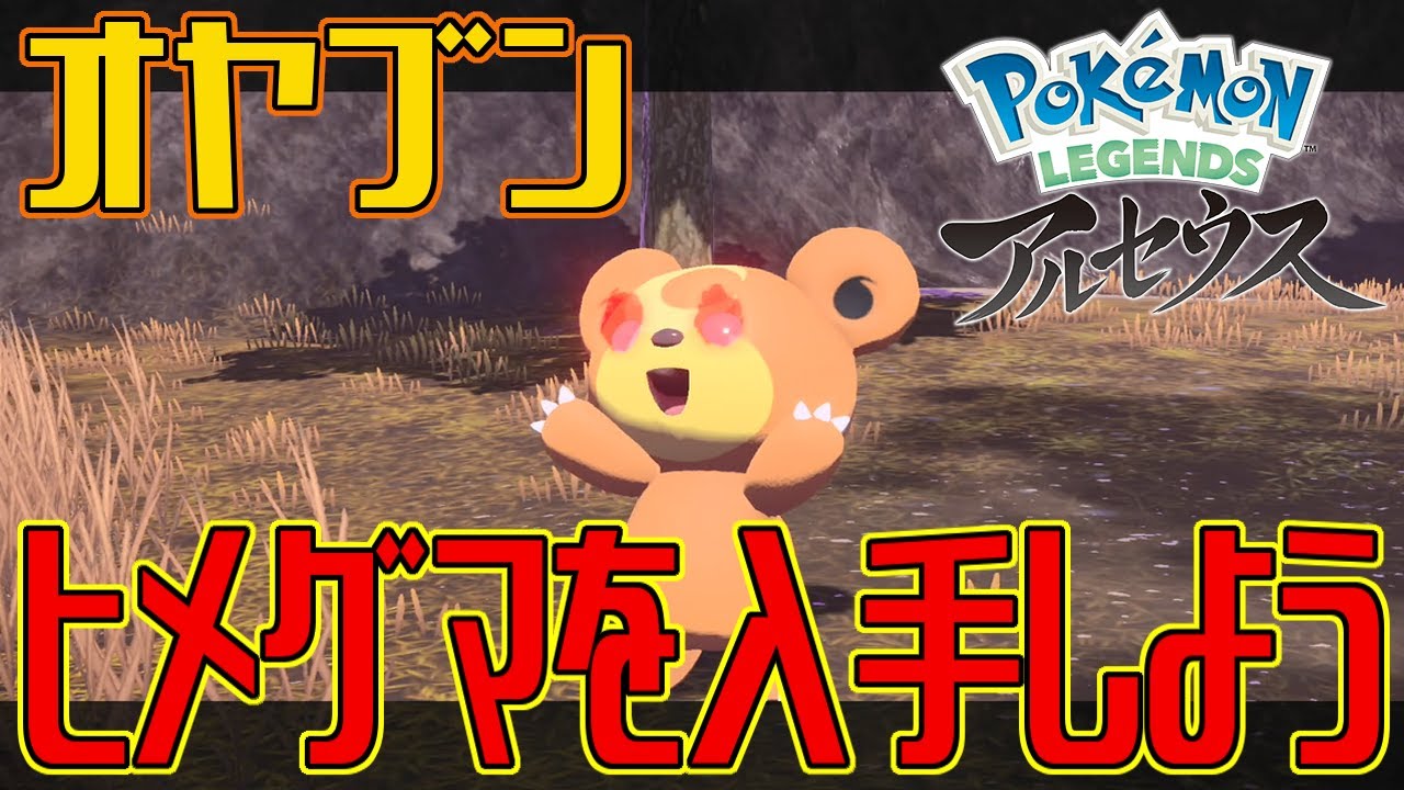 【ポケモンアルセウス】オヤブンのヒメグマを入手しよう【Pokémon LEGENDS アルセウス】