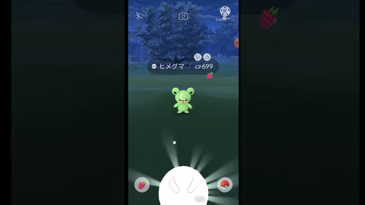 [ポケモンGO]シュシュプのスポットライトアワーでヒメグマの色違い？！