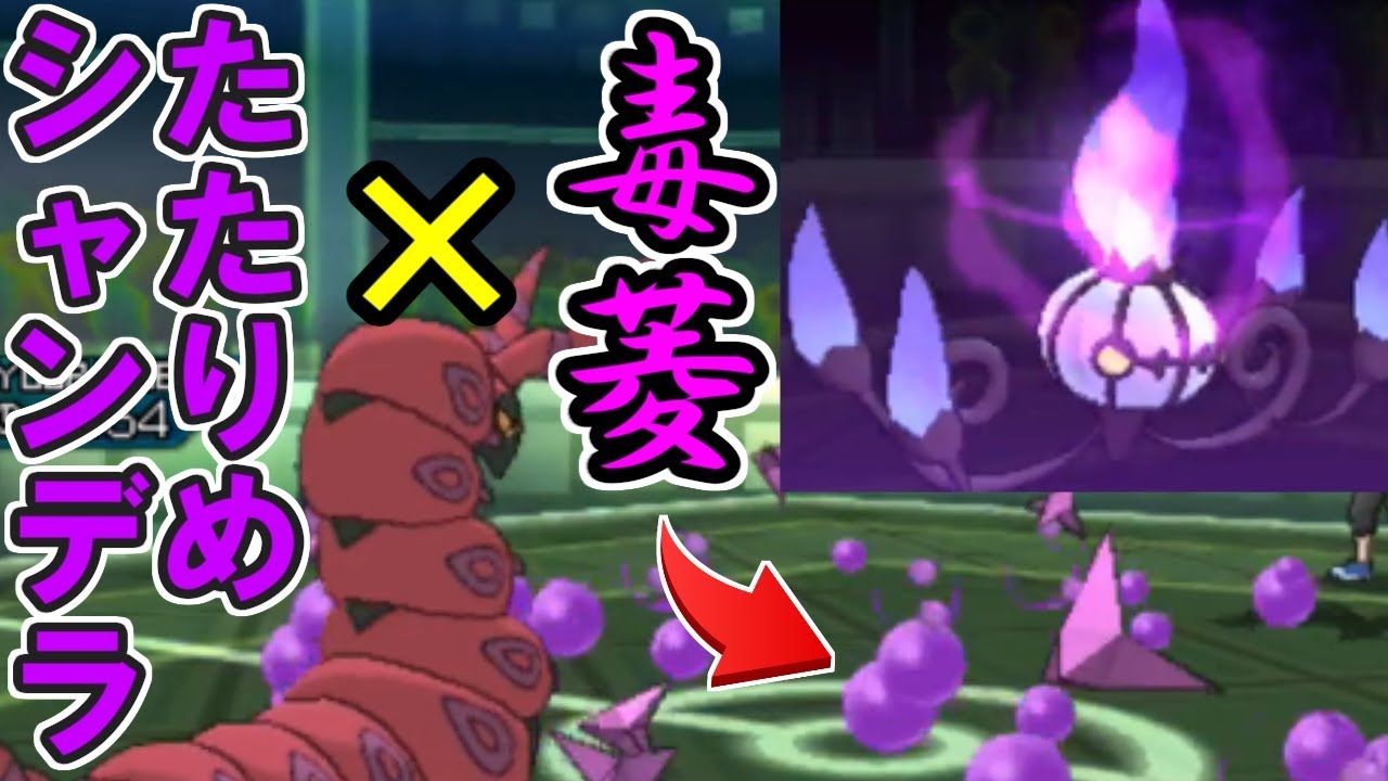 毒菱×たたりめスカーフシャンデラと鮫ちゃん【ポケモンUSUM/ウルトラサン・ウルトラムーン】
