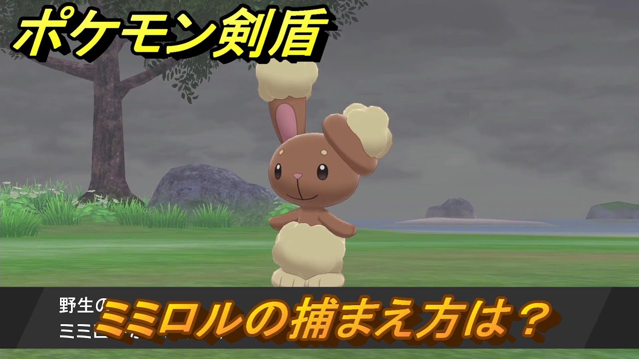 ポケモン剣盾　ミミロルを捕まえる方法！オススメの場所は？天気は？ポケモン図鑑コンプへの道！　最新版【ポケモンソード・シールド】